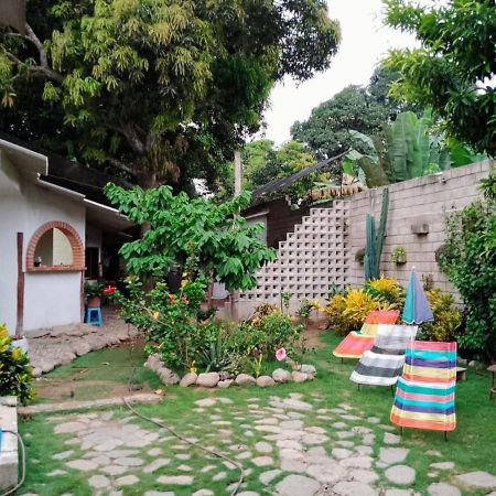 Hermoso Palomino Ngoại thất bức ảnh